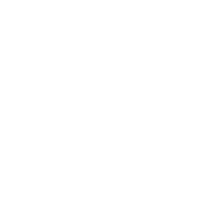 logo_2024_BL